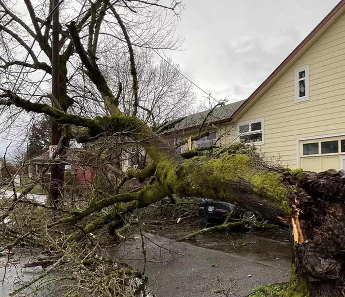 Good Morning, News: Urban Forestry's Getting Sued, No More CAHOOTS in Eugene, and Trump's Tariffs Are Upsetting the Manosphere 